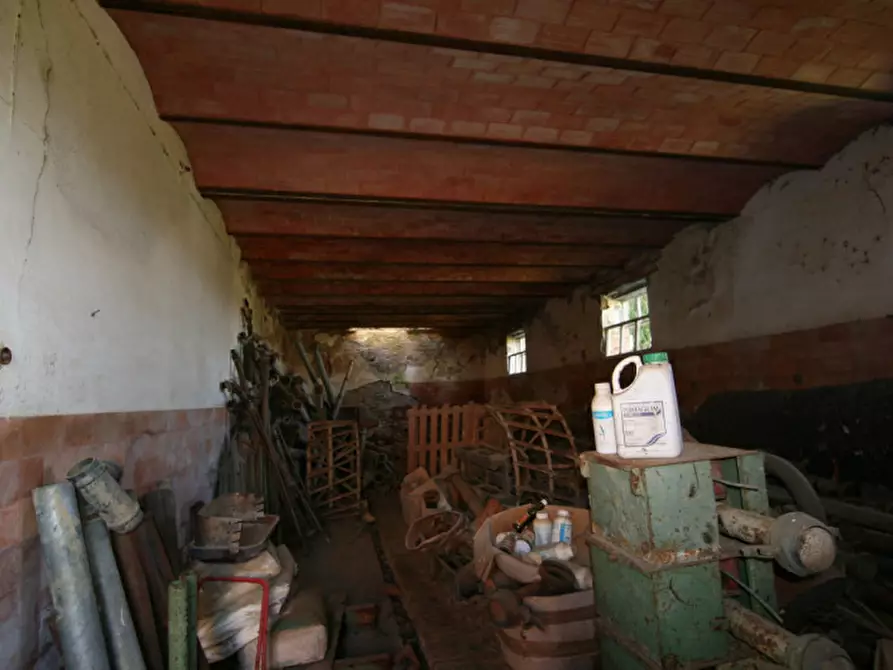 Immagine 24 di Rustico / casale in vendita  a Lucignano