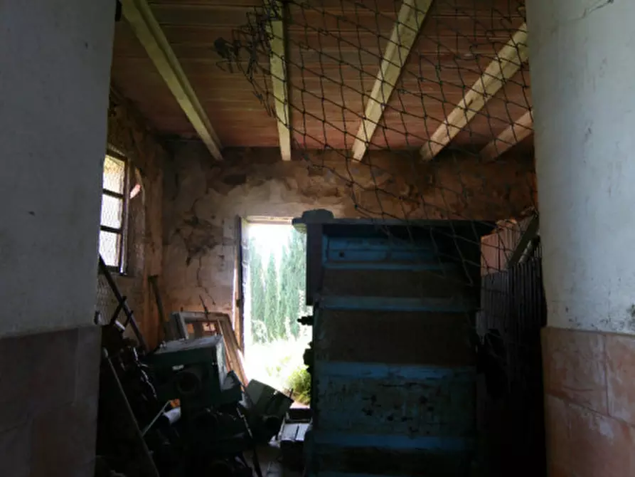 Immagine 25 di Rustico / casale in vendita  a Lucignano