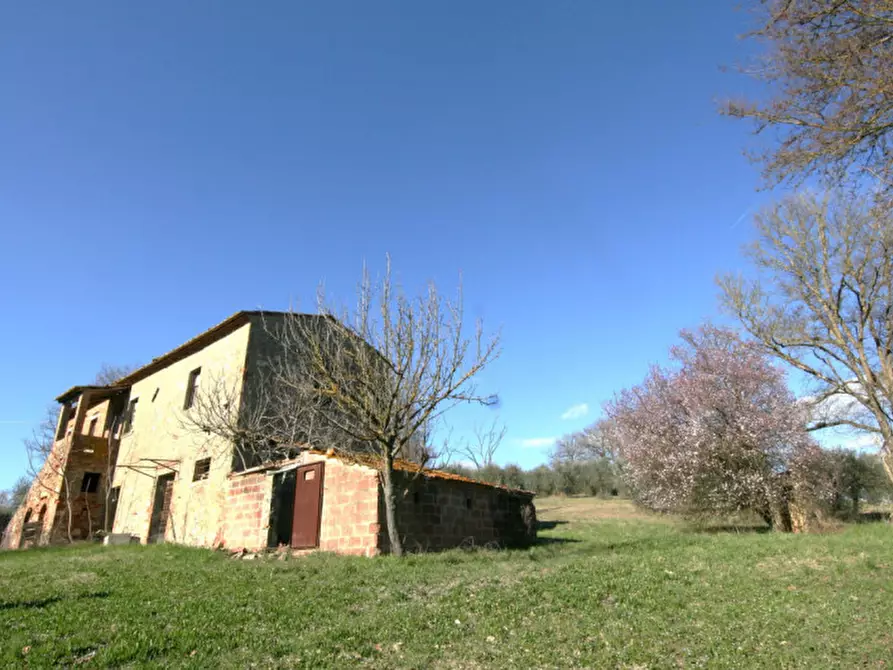 Immagine 5 di Rustico / casale in vendita  a Lucignano
