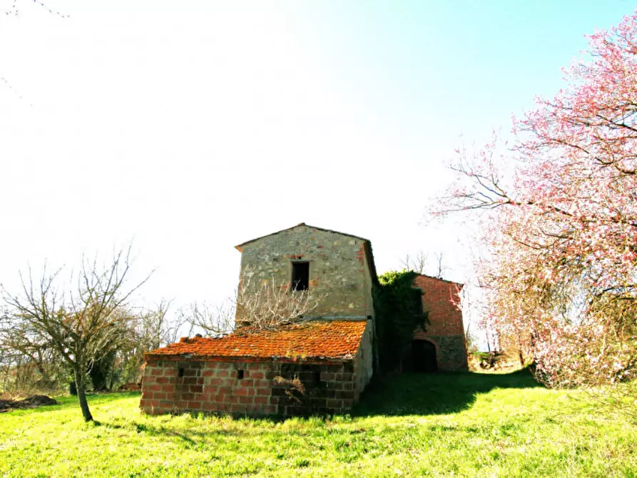 Immagine 6 di Rustico / casale in vendita  a Lucignano