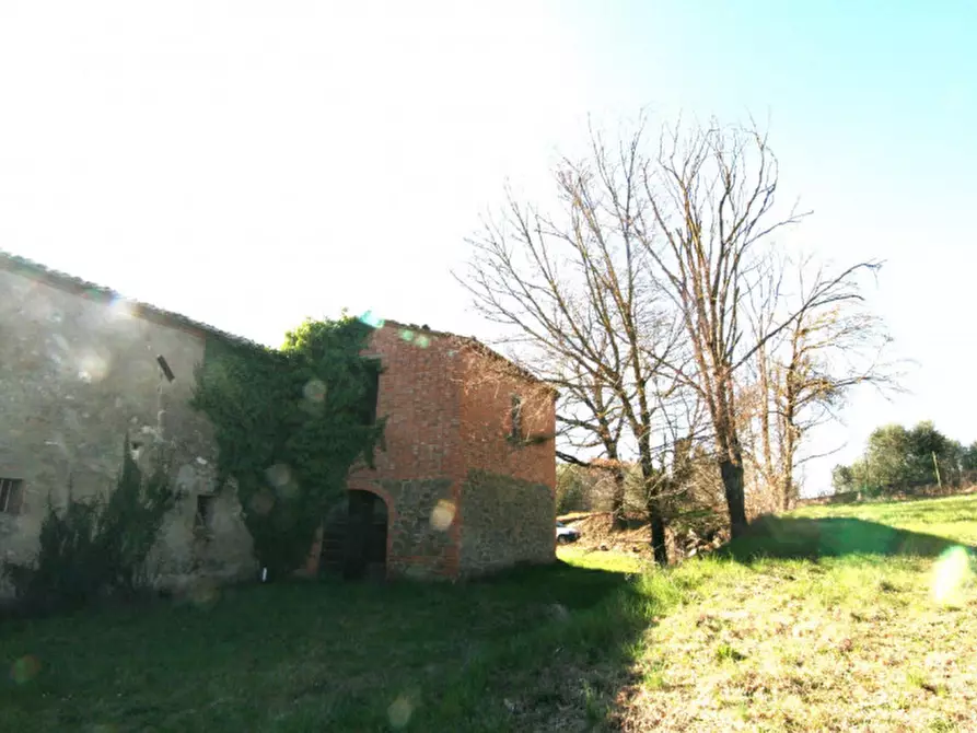 Immagine 8 di Rustico / casale in vendita  a Lucignano