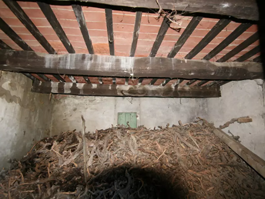 Immagine 12 di Rustico / casale in vendita  a Lucignano