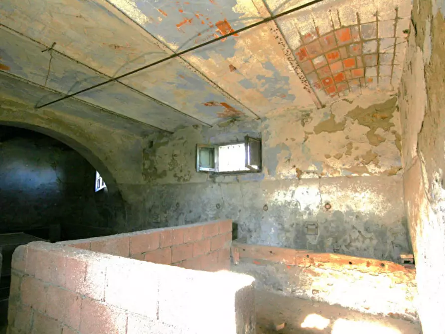 Immagine 16 di Rustico / casale in vendita  a Lucignano
