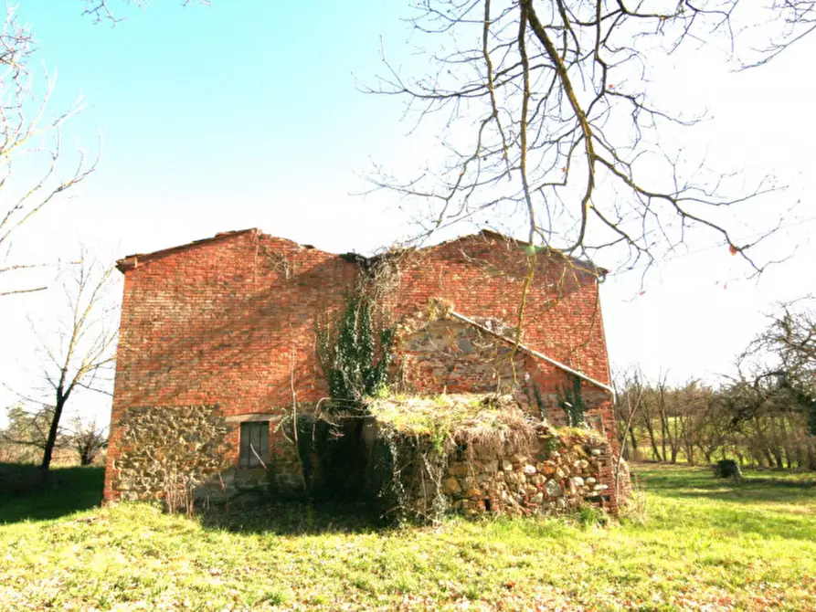 Immagine 21 di Rustico / casale in vendita  a Lucignano