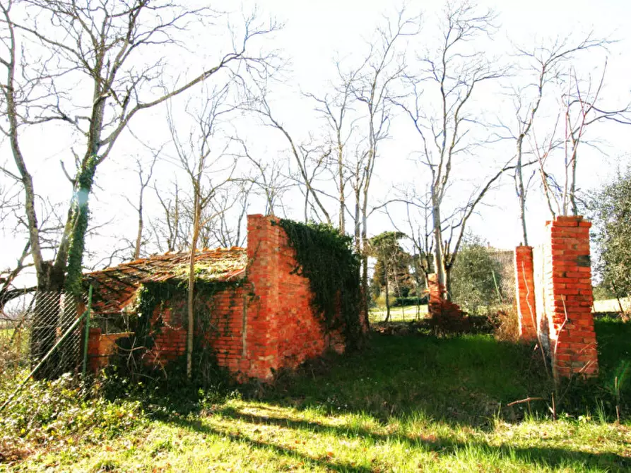 Immagine 24 di Rustico / casale in vendita  a Lucignano