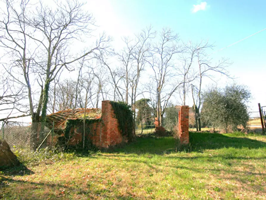 Immagine 25 di Rustico / casale in vendita  a Lucignano
