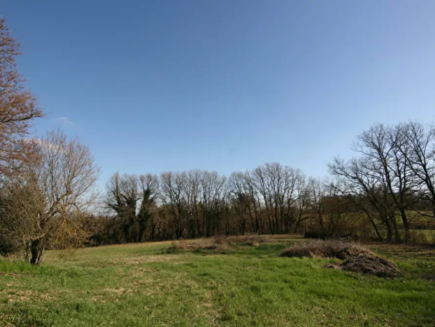 Immagine 27 di Rustico / casale in vendita  a Lucignano