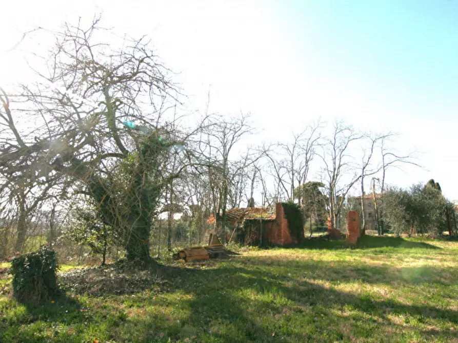 Immagine 28 di Rustico / casale in vendita  a Lucignano