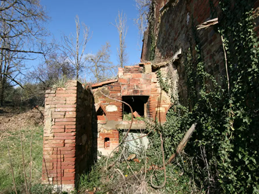 Immagine 29 di Rustico / casale in vendita  a Lucignano