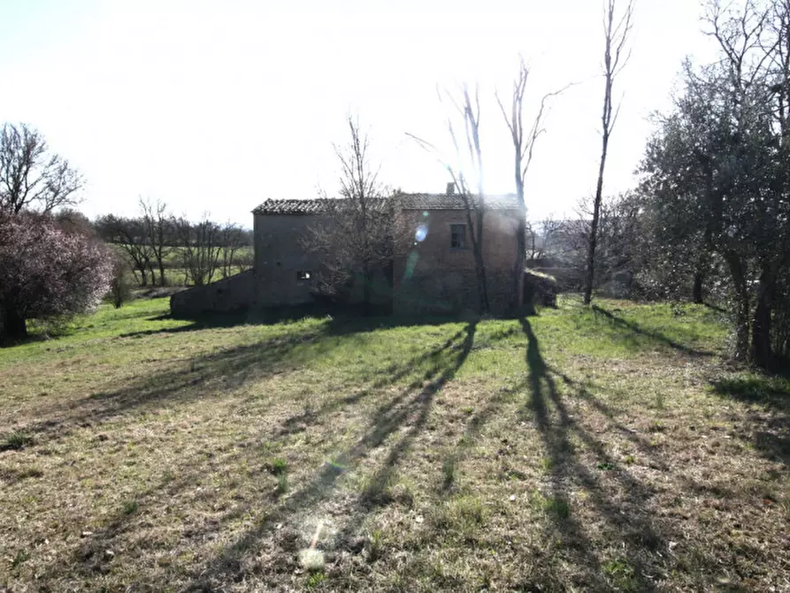 Immagine 31 di Rustico / casale in vendita  a Lucignano