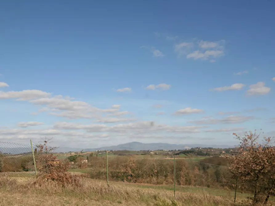 Immagine 32 di Rustico / casale in vendita  a Lucignano