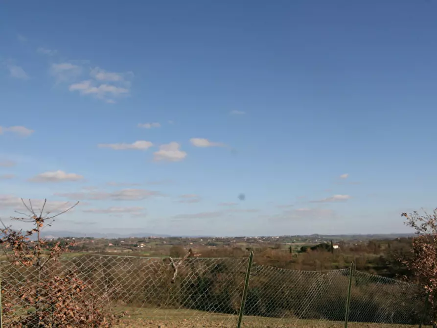 Immagine 33 di Rustico / casale in vendita  a Lucignano