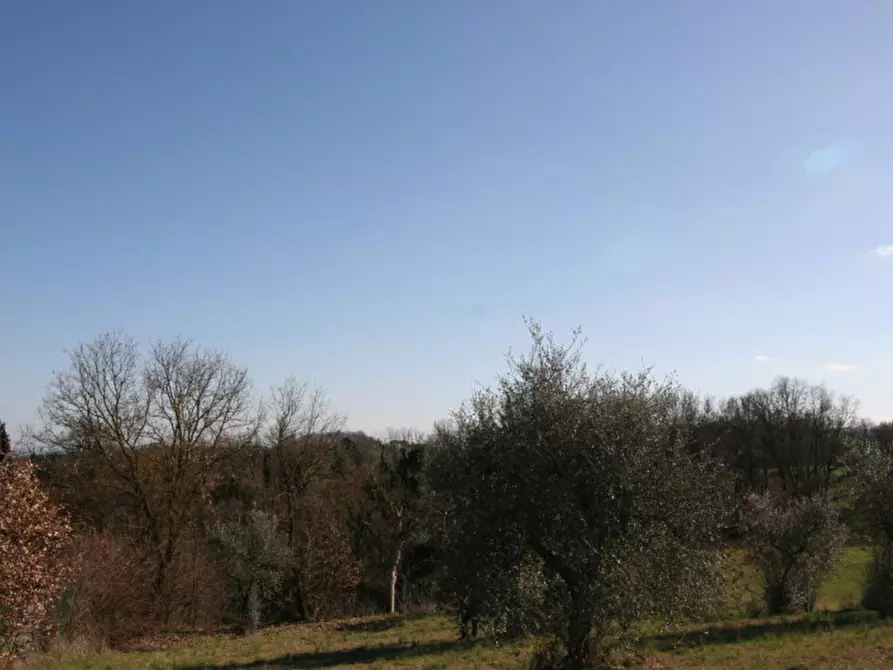 Immagine 34 di Rustico / casale in vendita  a Lucignano