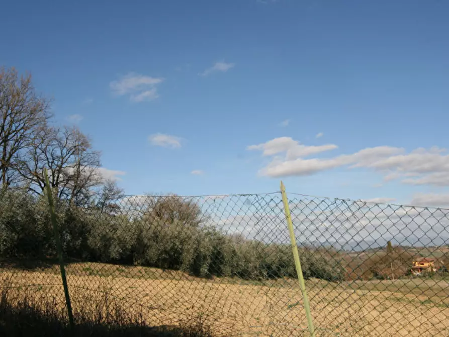 Immagine 35 di Rustico / casale in vendita  a Lucignano