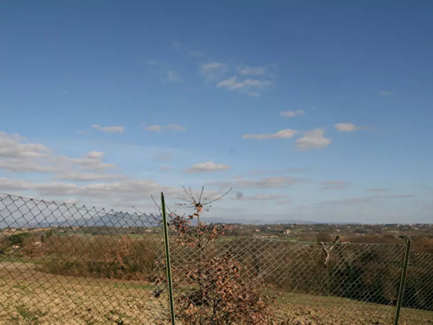 Immagine 36 di Rustico / casale in vendita  a Lucignano