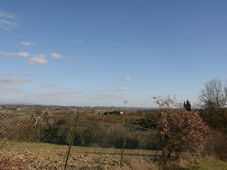 Immagine 37 di Rustico / casale in vendita  a Lucignano