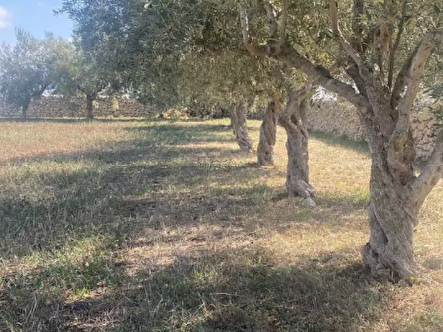 Immagine 47 di Casa indipendente in vendita  a Modica