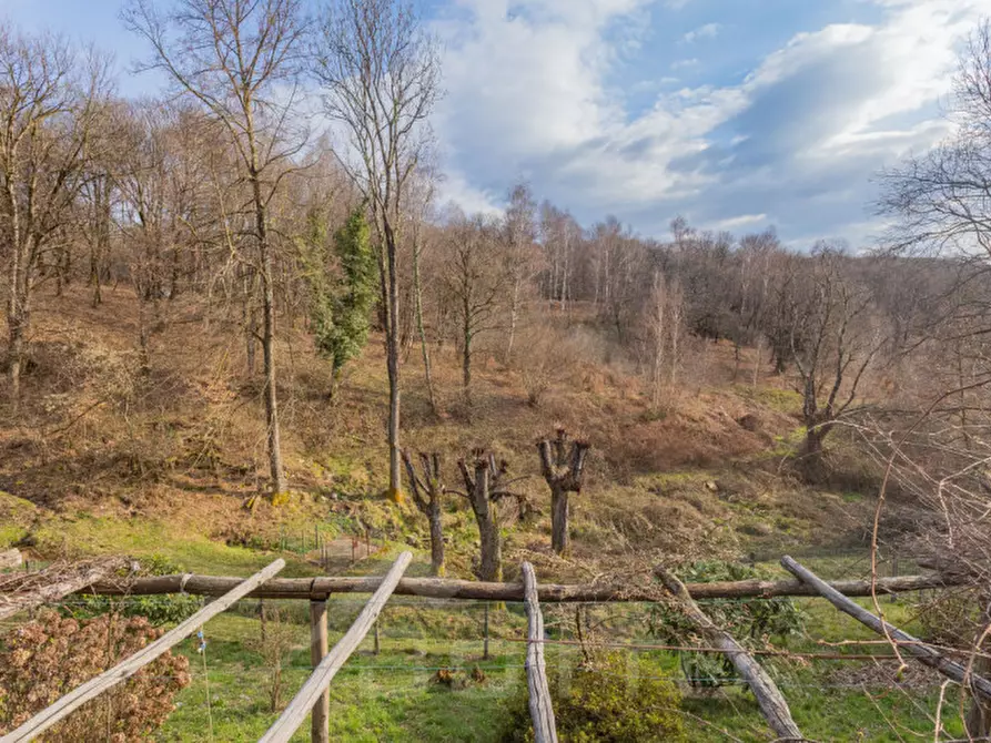Immagine 17 di Casa indipendente in vendita  in località casale colle piano a Armeno