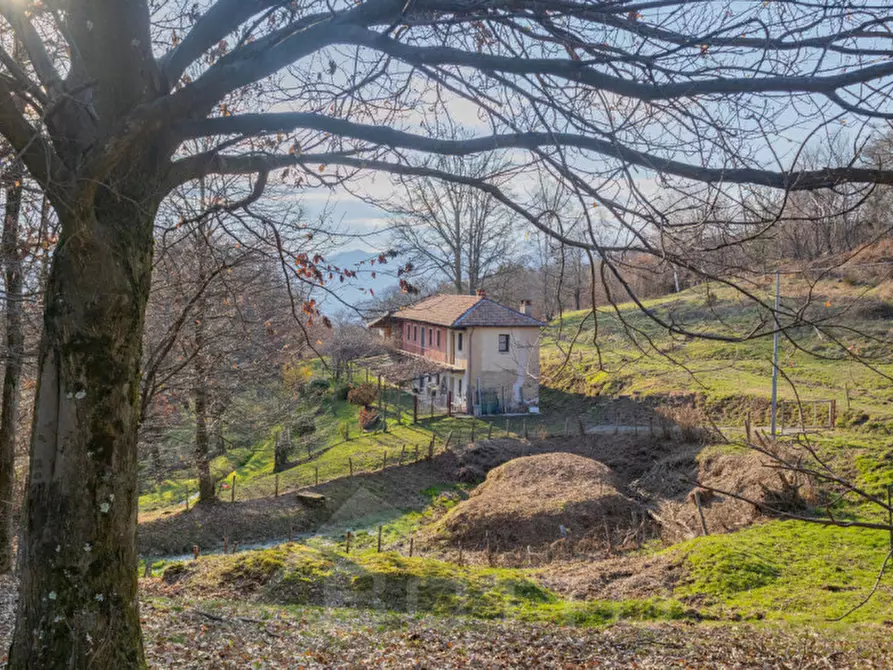 Immagine 18 di Casa indipendente in vendita  in località casale colle piano a Armeno
