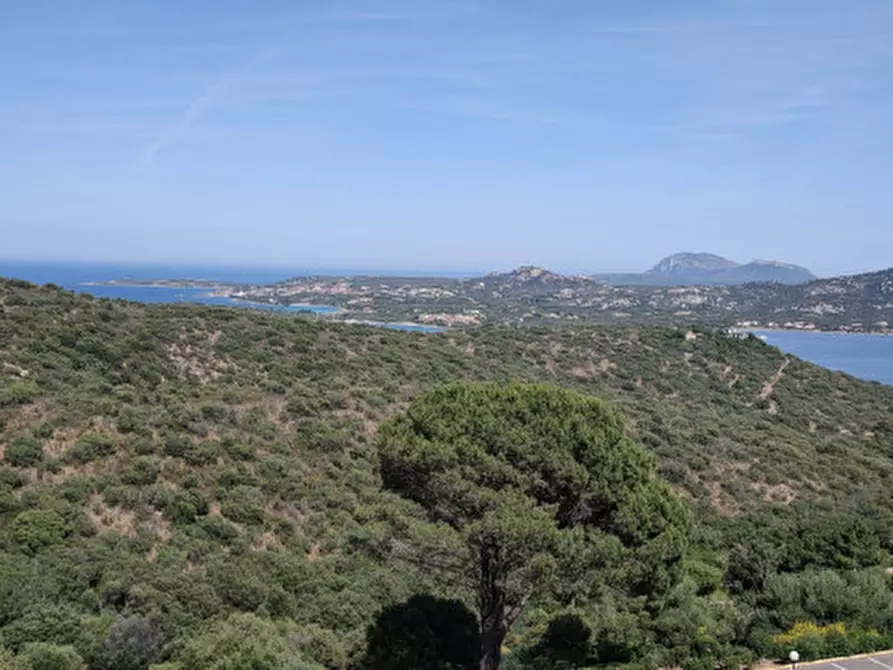 Immagine 33 di Appartamento in vendita  in VIALE CUGNANA VERDE n. 5-33 Piano 3 a Olbia