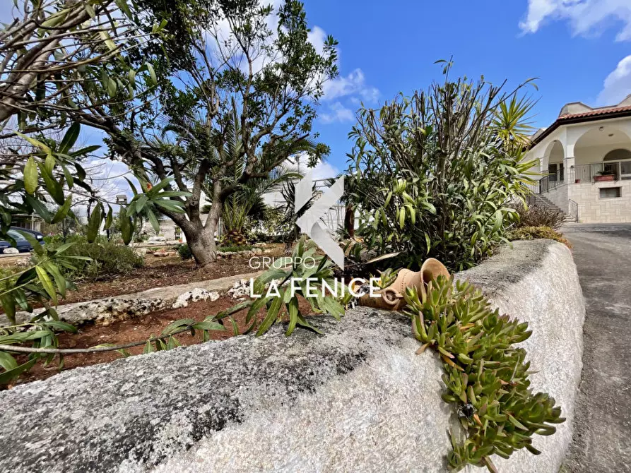 Immagine 4 di Rustico / casale in vendita  in contrada Monte a Cisternino