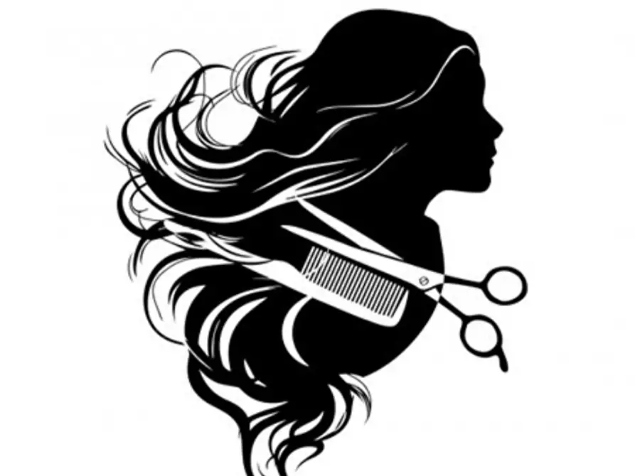 Immagine 2 di Attività commerciale in vendita  a Teolo