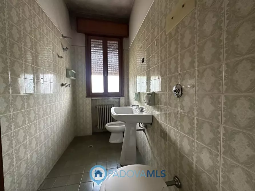 Immagine 9 di Casa bifamiliare in vendita  in Via San Tommaso a Albignasego