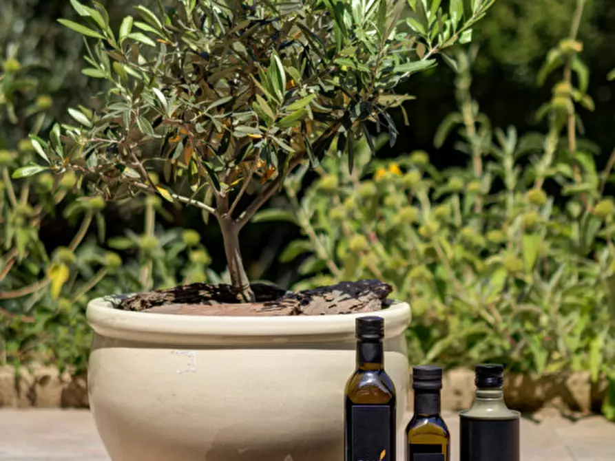 Immagine 25 di Appartamento in affitto  in Via Appia Pignatelli a Roma