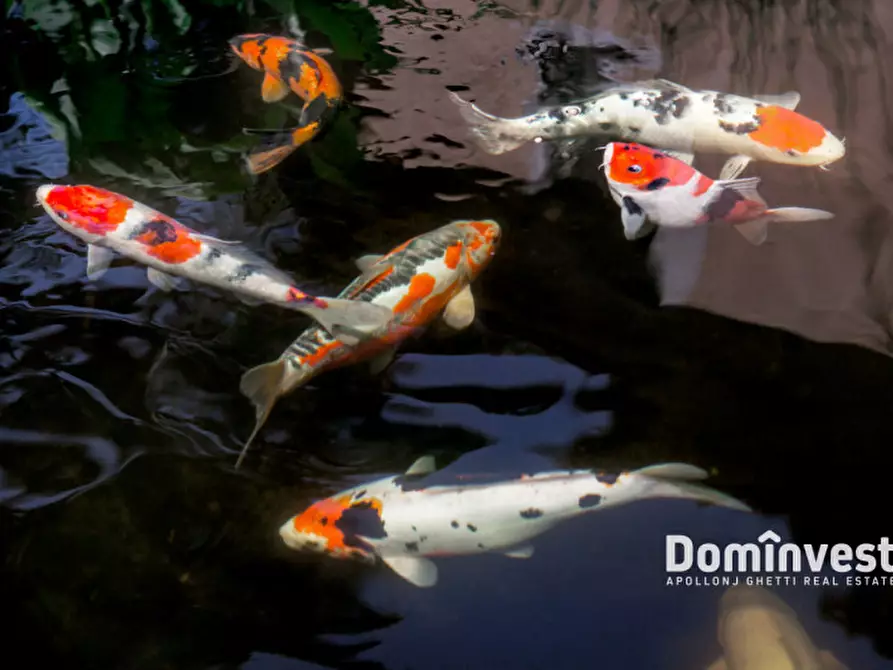 Immagine 31 di Appartamento in affitto  in Via Appia Pignatelli a Roma