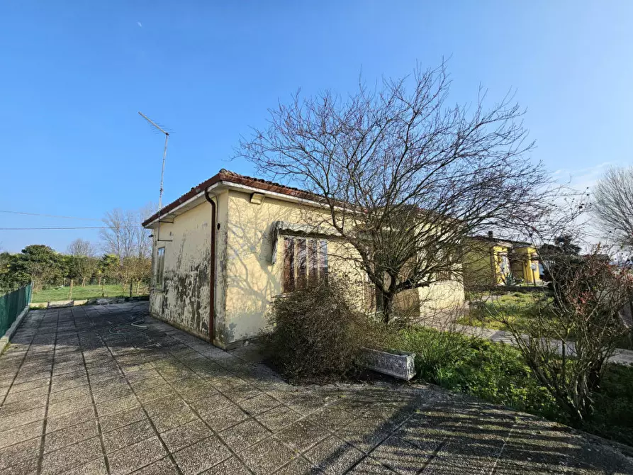 Immagine 6 di Casa indipendente in vendita  in Via Fratelli Bandiera a Solesino