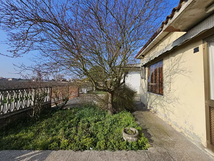 Immagine 7 di Casa indipendente in vendita  in Via Fratelli Bandiera a Solesino