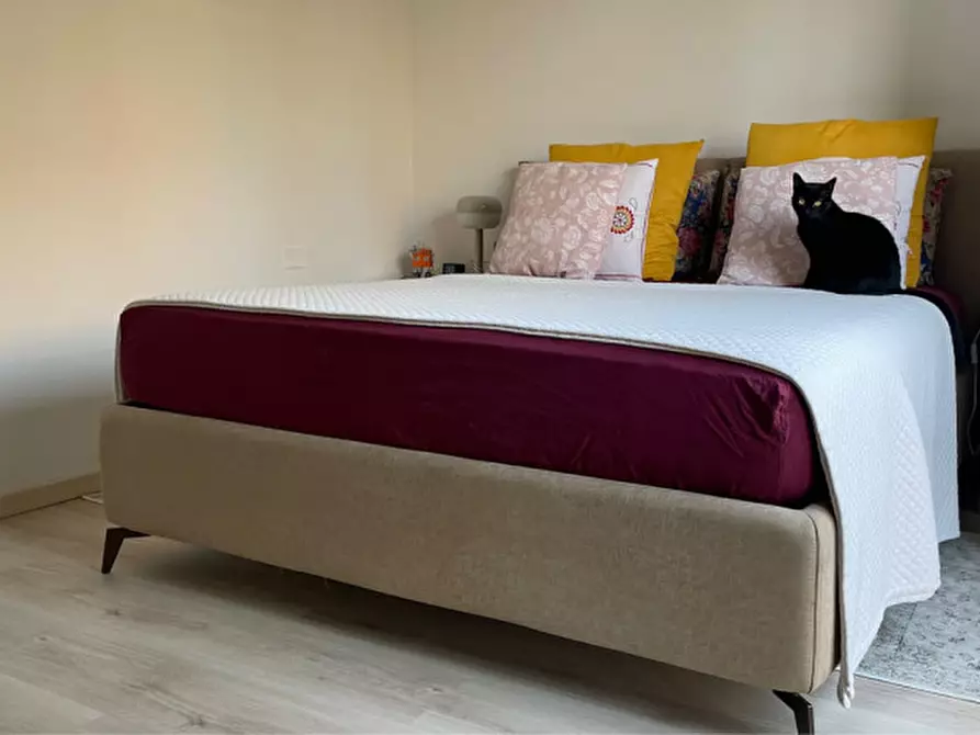 Immagine 27 di Appartamento in vendita  a Padova