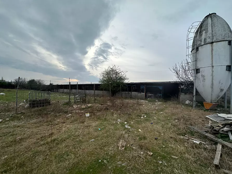 Immagine 11 di Capannone industriale in vendita  in Strada la Grezzanella a Villafranca Di Verona
