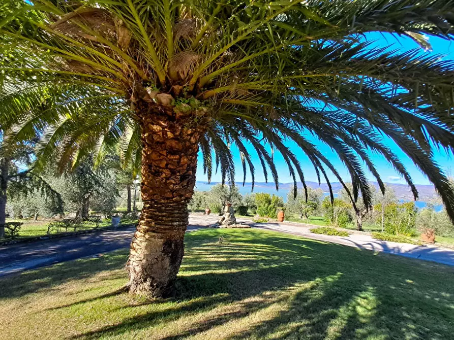 Immagine 44 di Rustico / casale in vendita  a Magione