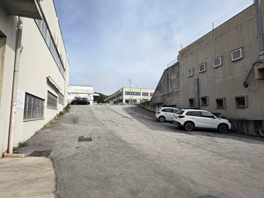 Immagine 10 di Capannone industriale in vendita  in VIA TOMBESI a Ancona