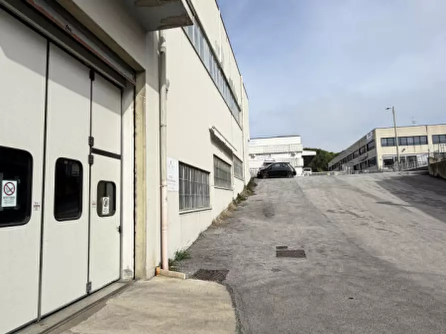 Immagine 11 di Capannone industriale in vendita  in VIA TOMBESI a Ancona
