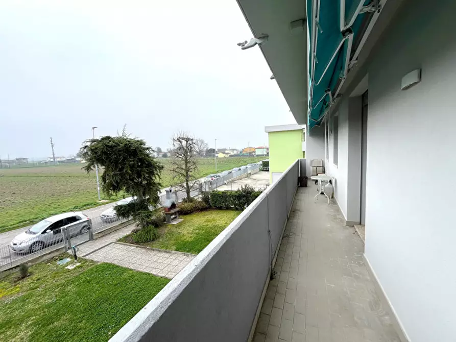 Immagine 3 di Appartamento in vendita  in Via Ugo Patrese a Rovigo