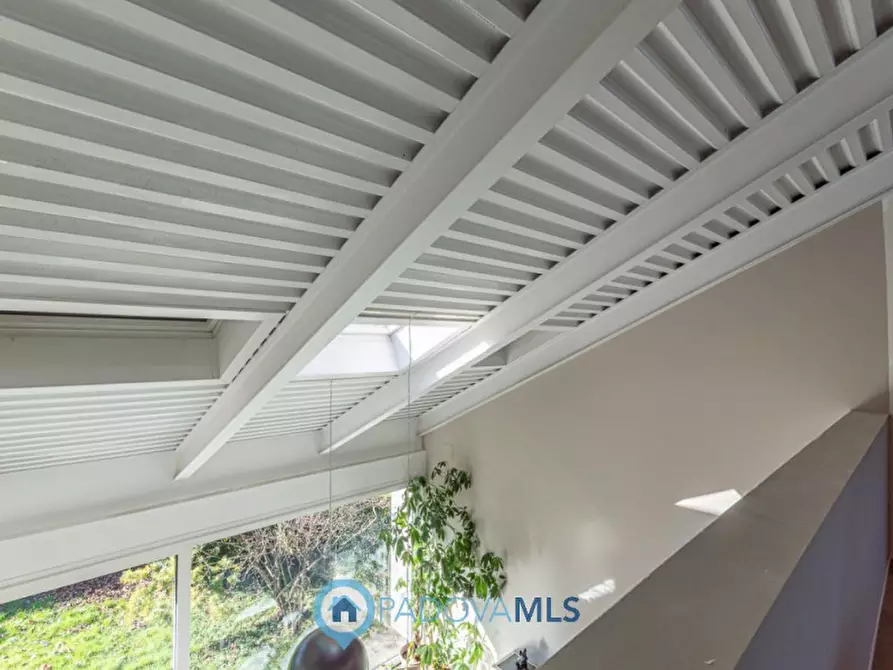 Immagine 29 di Villa in vendita  a Noventa Padovana