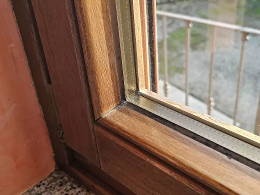 Immagine 28 di Casa indipendente in vendita  in Via Vittorio Emanuele III 4 a Montechiaro D'asti