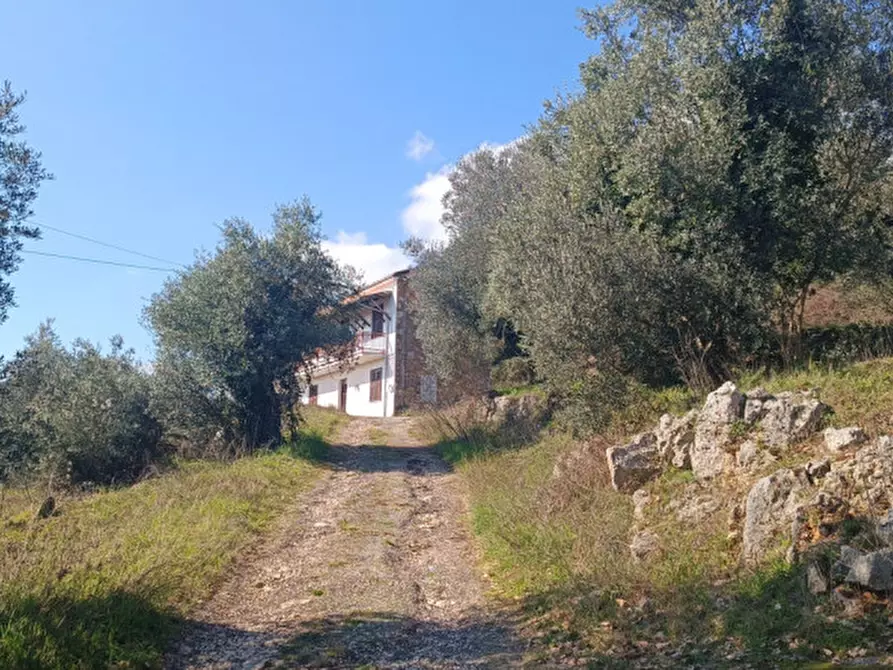 Immagine 2 di Casa indipendente in vendita  in VIA CIPPILLO - CHIESA NUOVA, 3 a Sora