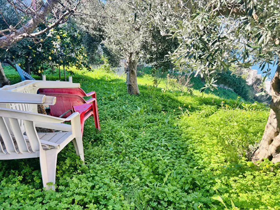 Immagine 11 di Terreno in vendita  in Via San Sebastiano a Pizzo