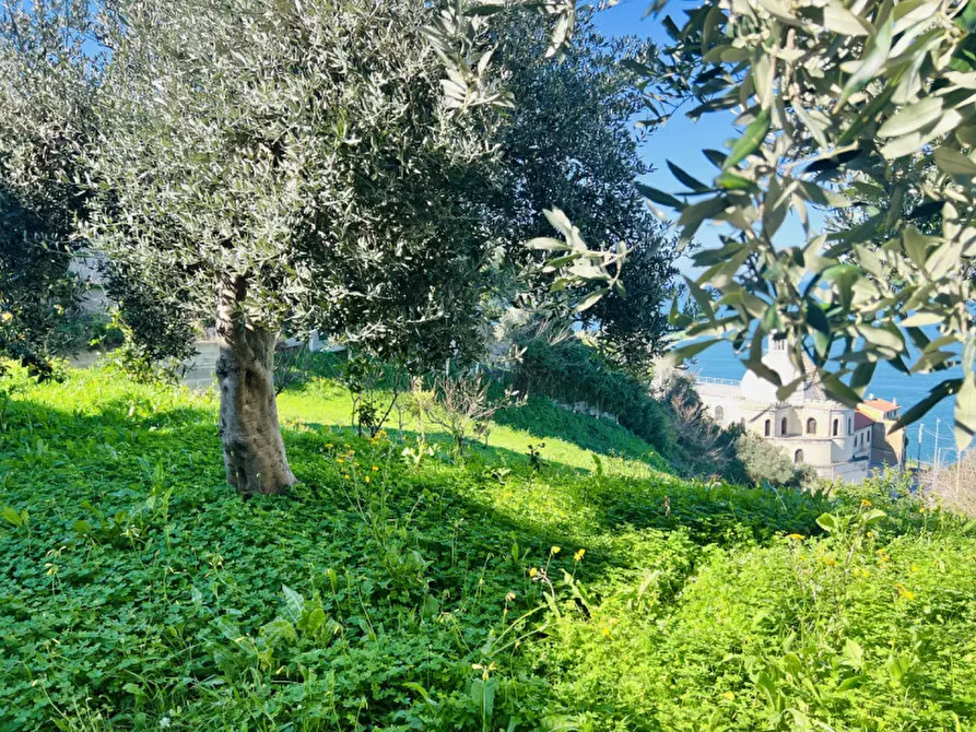 Immagine 13 di Terreno in vendita  in Via San Sebastiano a Pizzo