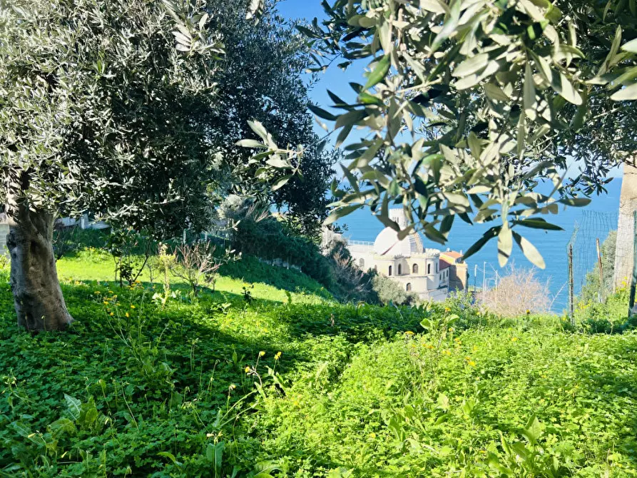 Immagine 14 di Terreno in vendita  in Via San Sebastiano a Pizzo