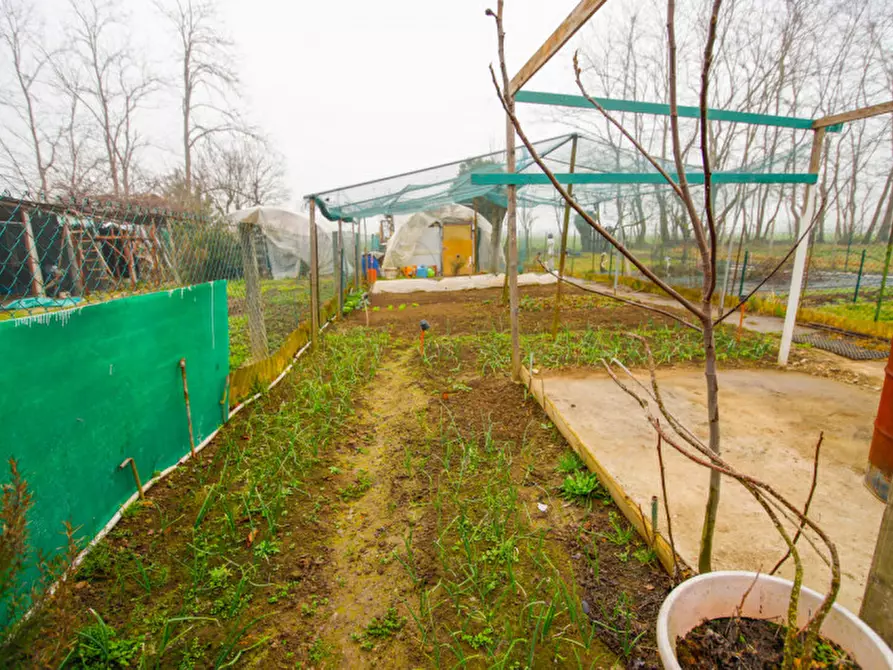 Immagine 7 di Casa indipendente in vendita  in via roveglia ruffini 25 a Leini
