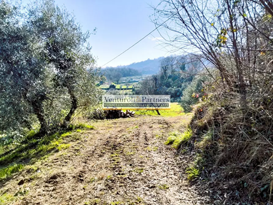 Immagine 4 di Terreno in vendita  in s.p. XXV a Puegnago Sul Garda