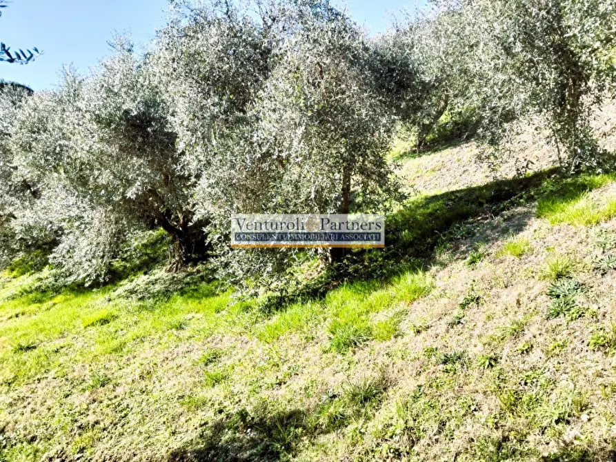 Immagine 9 di Terreno in vendita  in s.p. XXV a Puegnago Sul Garda