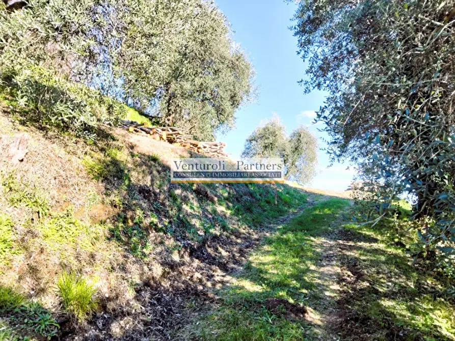 Immagine 9 di Terreno in vendita  in s.p. XXV a Puegnago Sul Garda