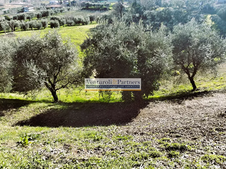 Immagine 14 di Terreno in vendita  in s.p. XXV a Puegnago Sul Garda