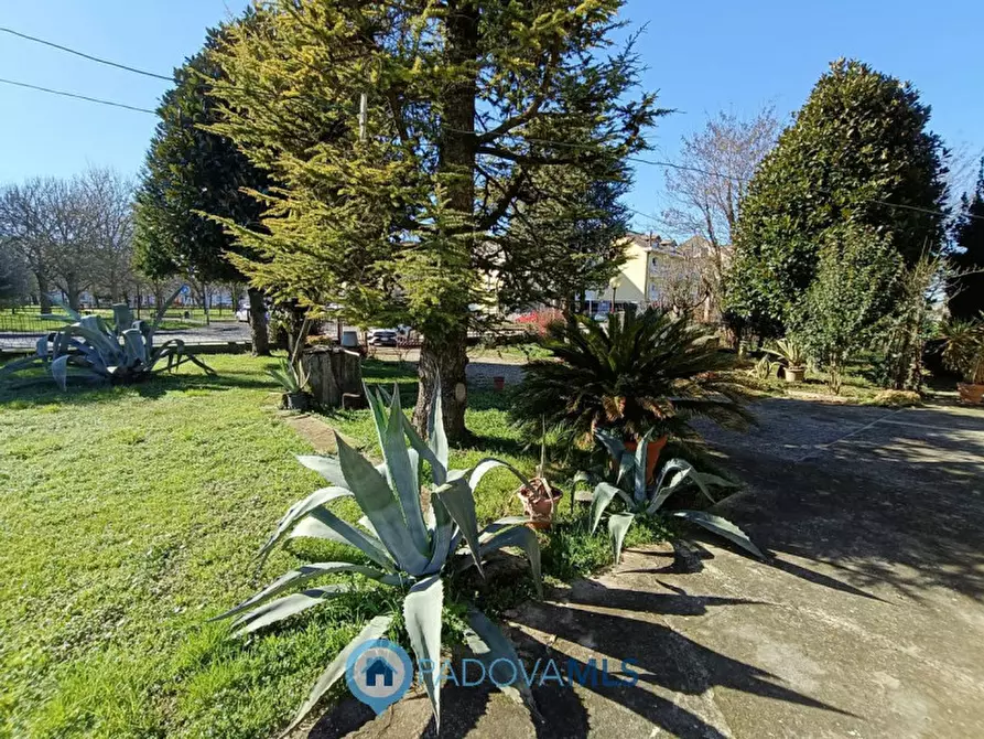 Immagine 20 di Casa indipendente in vendita  in Via Alteniero Azzoni, 1 a Padova
