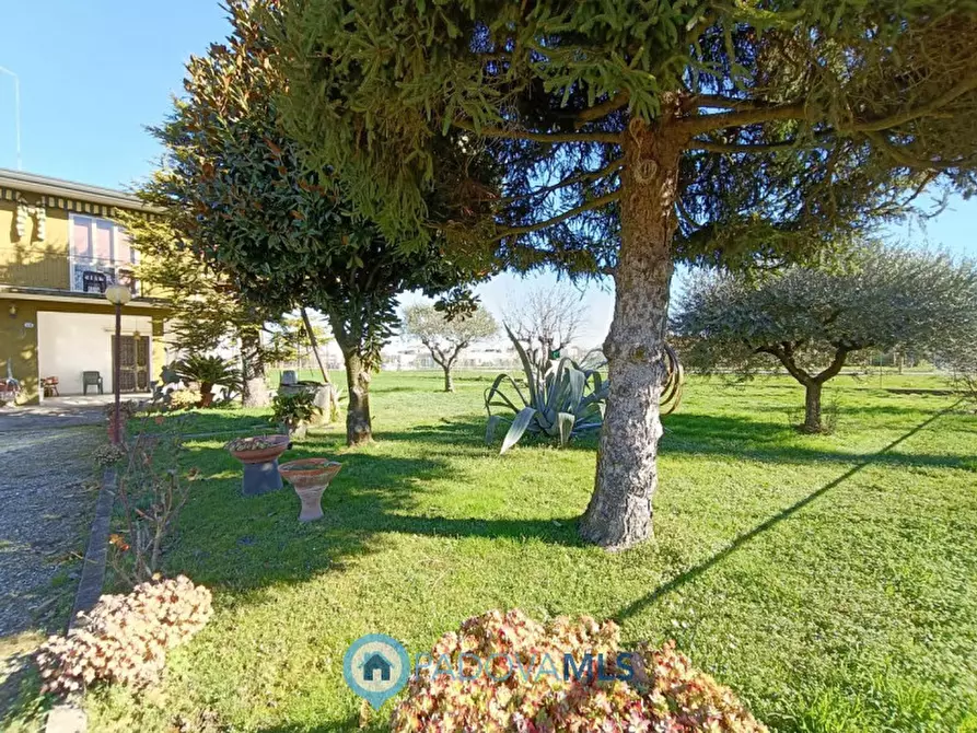 Immagine 23 di Casa indipendente in vendita  in Via Alteniero Azzoni, 1 a Padova